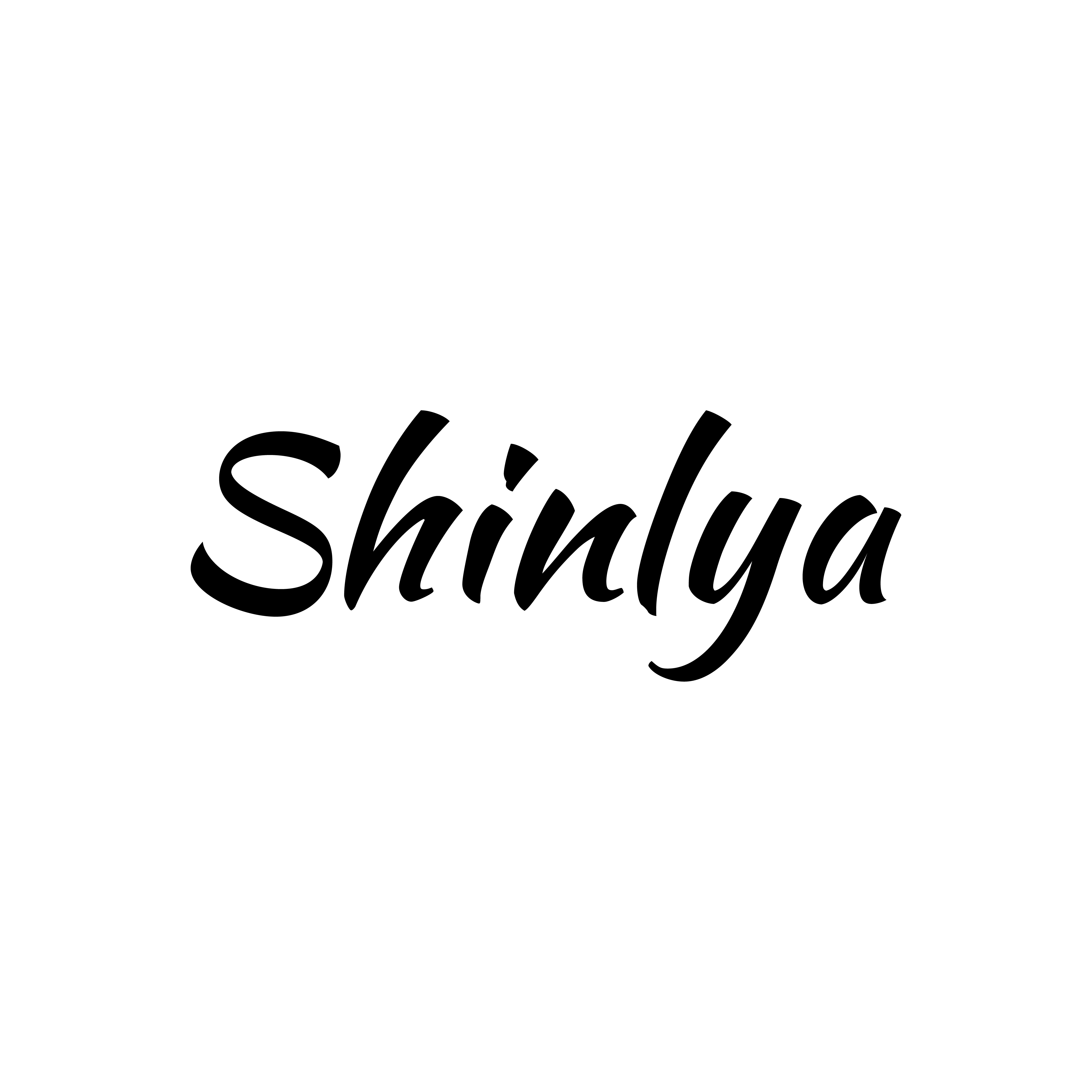 Shinlya  electronic technology co., ltd